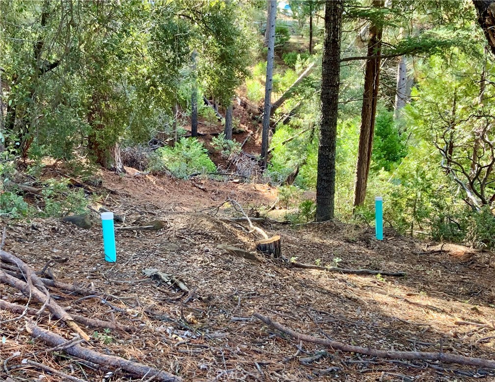 50963 Chu Ranch Rd, Oakhurst, CA 93644