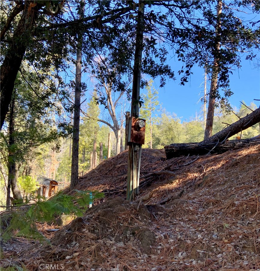 50963 Chu Ranch Rd, Oakhurst, CA 93644