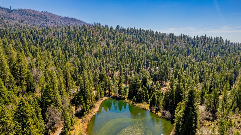 50054 Poplar Rd, Oakhurst, CA 93644