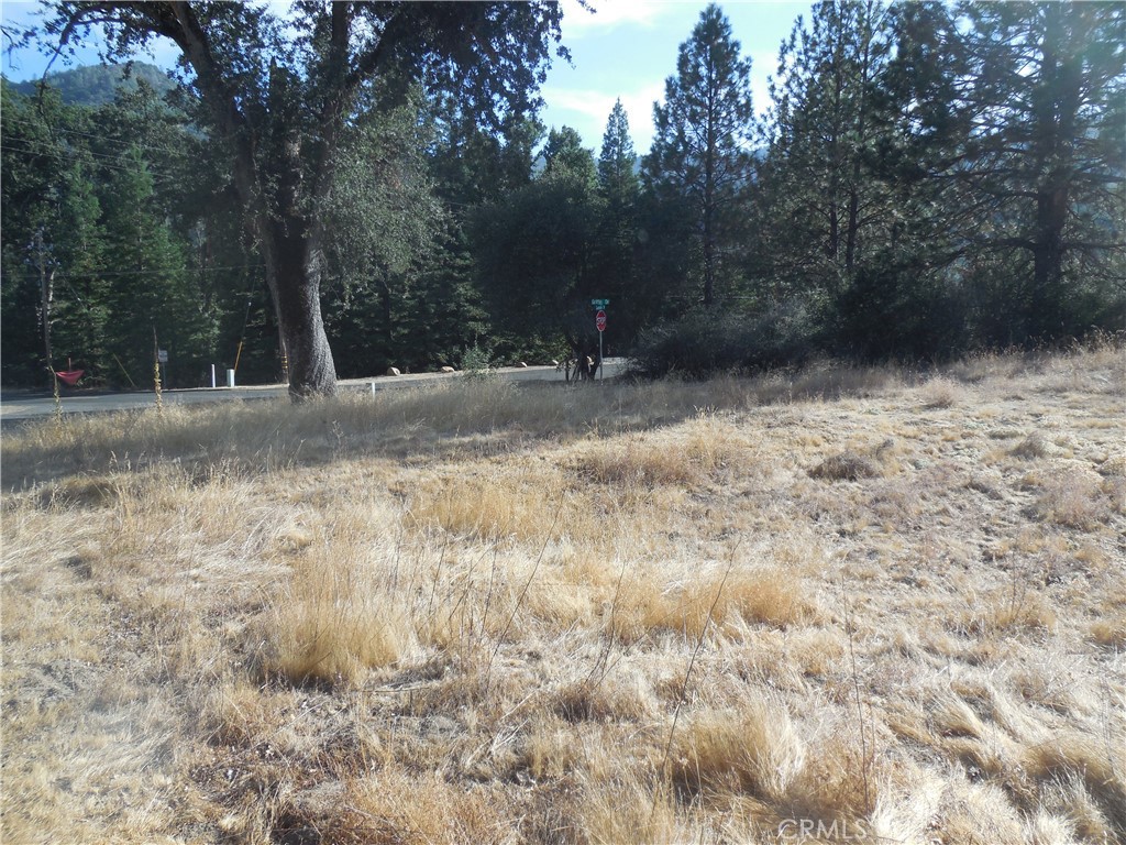 1 Acre Griffin Dr, Oakhurst, CA 93644