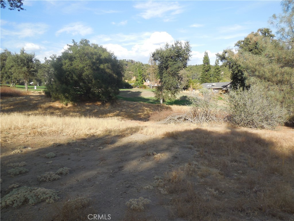 1 Acre Griffin Dr, Oakhurst, CA 93644
