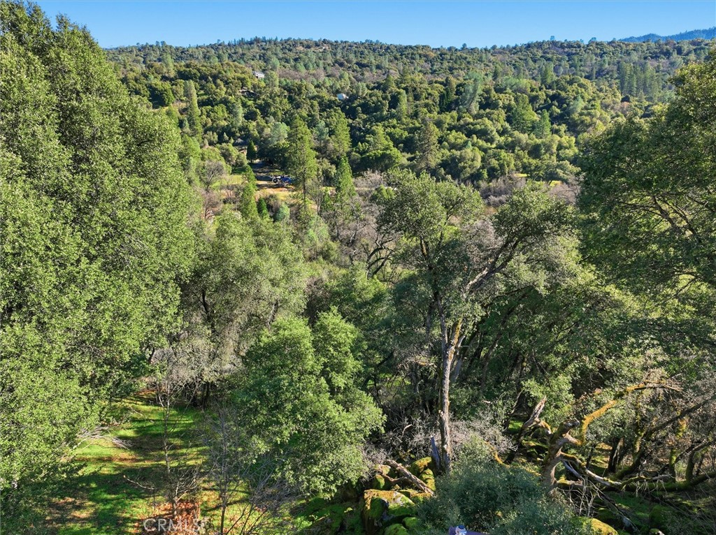39309 Forest Park Ln, Oakhurst, CA 93644