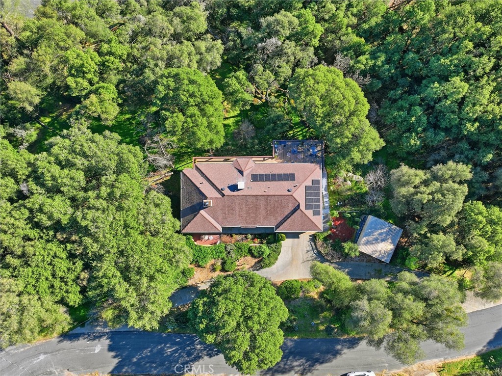 39309 Forest Park Ln, Oakhurst, CA 93644