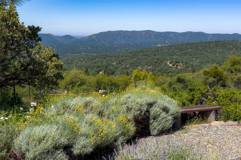 43016 Sunshine Mountain, Oakhurst, CA 93644