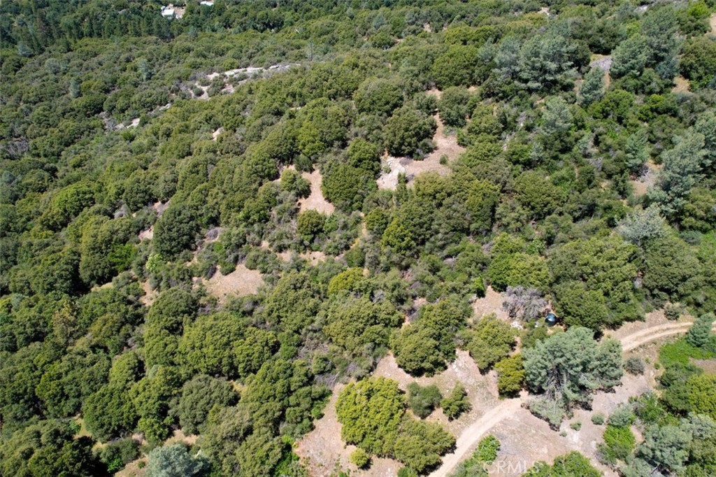 15 Sunshine Mountain, Oakhurst, CA 93644