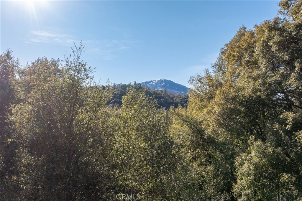39301 Moonray Ln, Oakhurst, CA 93644
