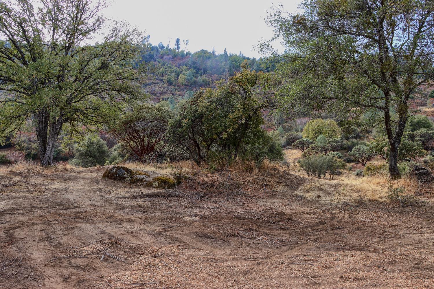 1 Stillmeadow Lane, Oakhurst, CA 93644