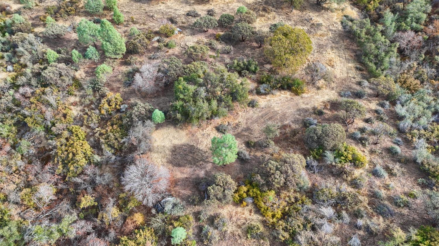 2 Stillmeadow Lane, Oakhurst, CA 93644