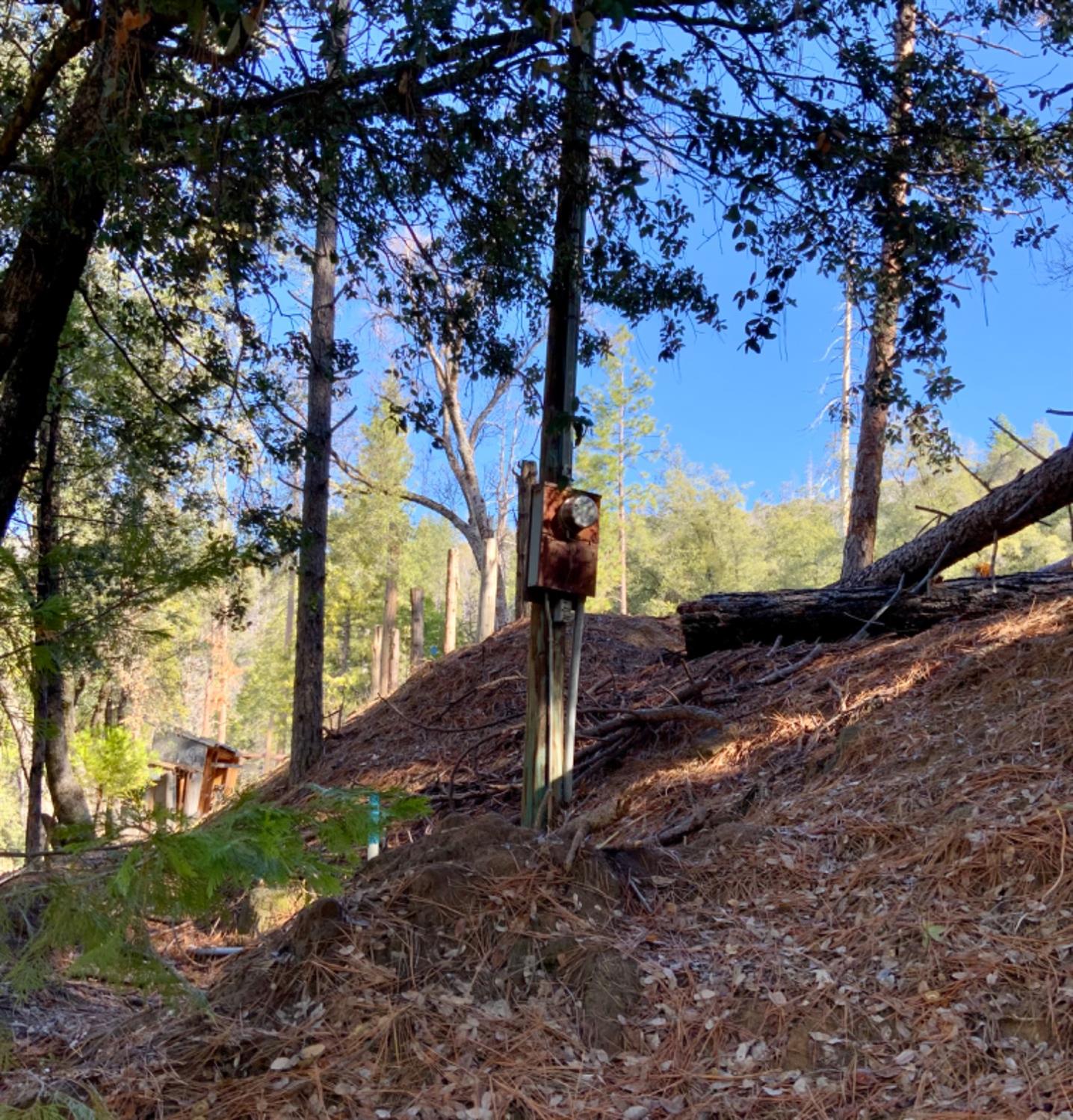 50963 Chu Ranch Rd, Oakhurst, CA 93644