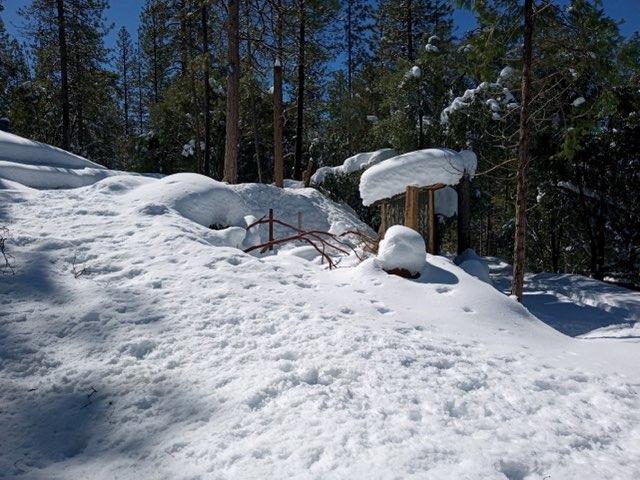 50963 Chu Ranch Rd, Oakhurst, CA 93644