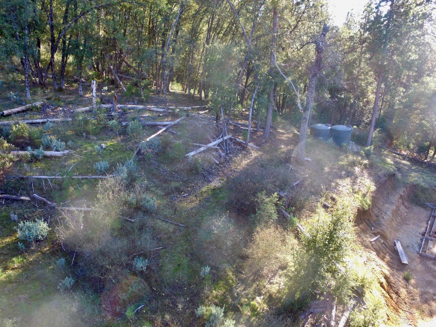 50963 Chu Ranch Rd, Oakhurst, CA 93644