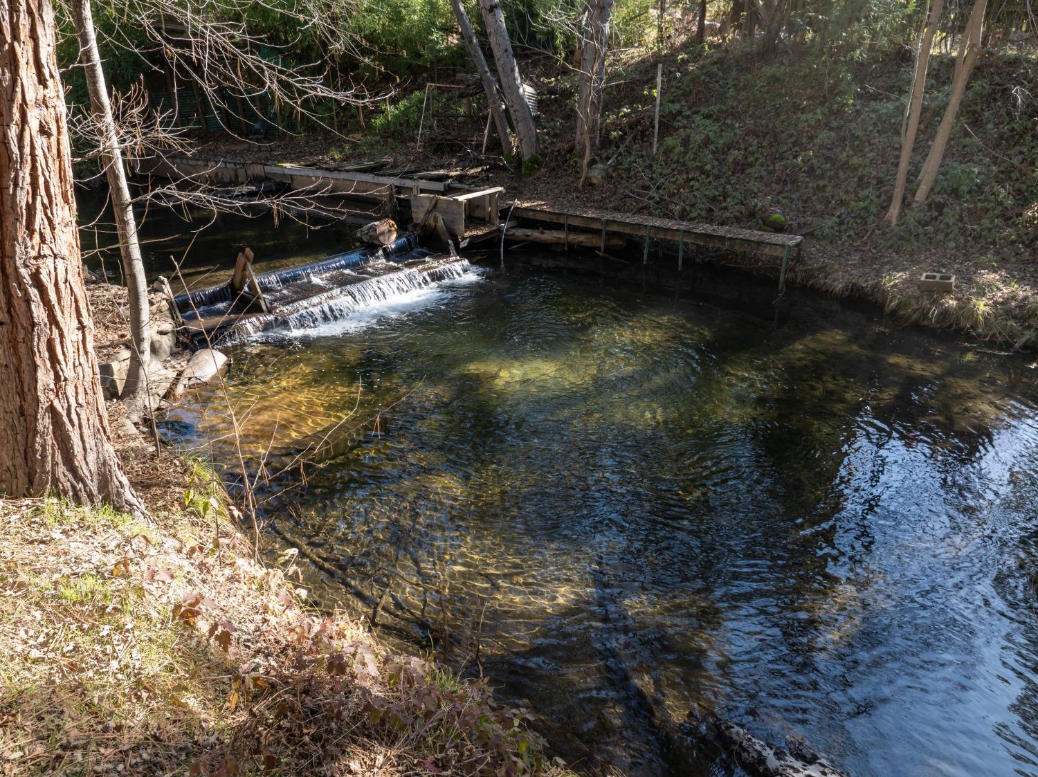 51338 Hillside, Oakhurst, CA 93644