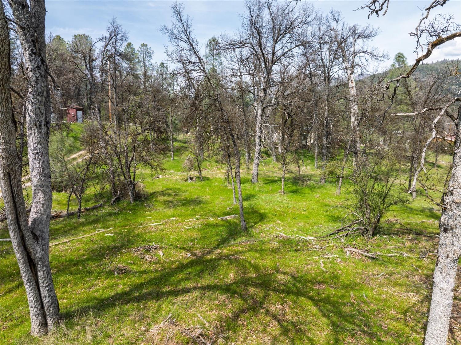1 Springwood Ct, Oakhurst, CA 93644