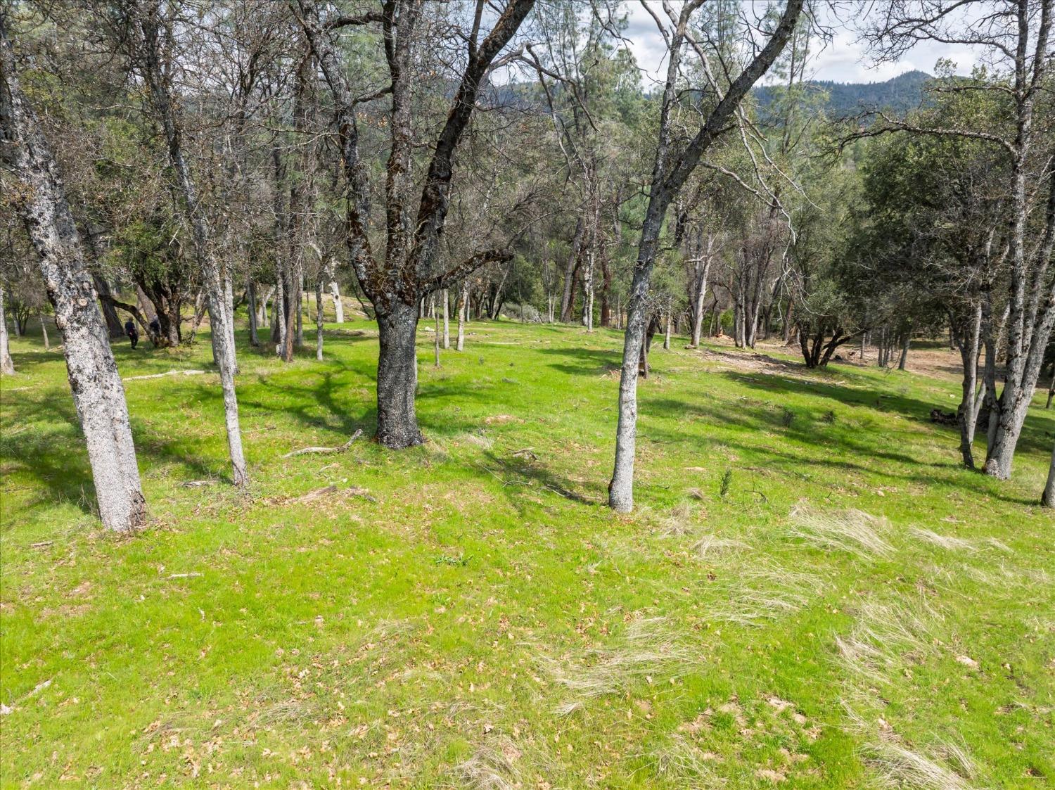 1 Springwood Ct, Oakhurst, CA 93644