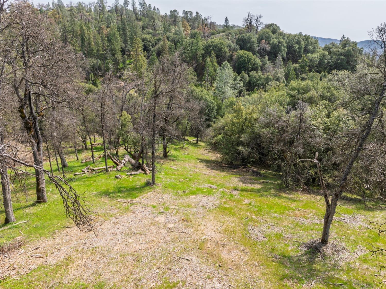 1 Springwood Ct, Oakhurst, CA 93644