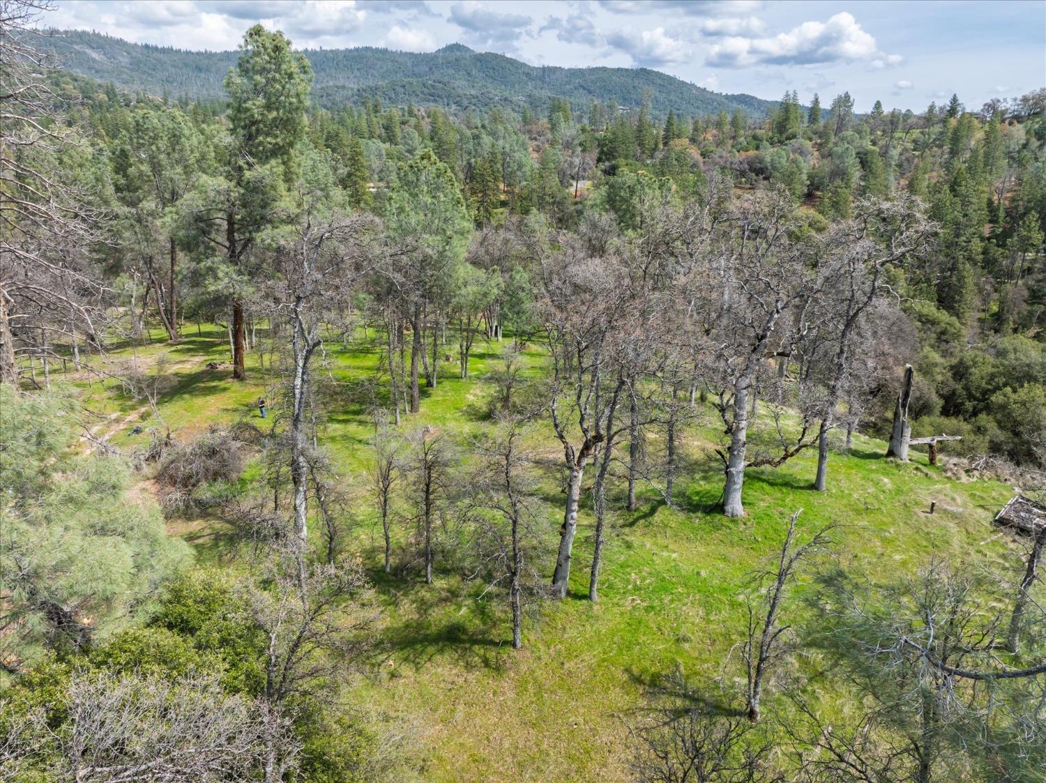 1 Springwood Ct, Oakhurst, CA 93644