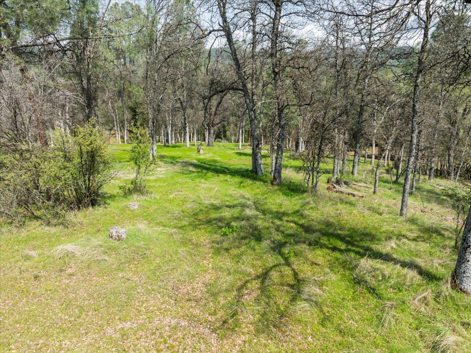 1 Springwood Ct, Oakhurst, CA 93644