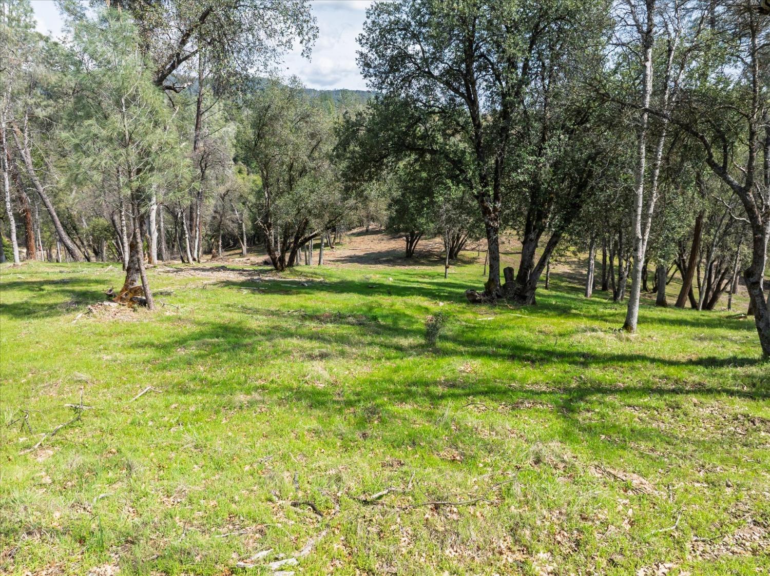 1 Springwood Ct, Oakhurst, CA 93644