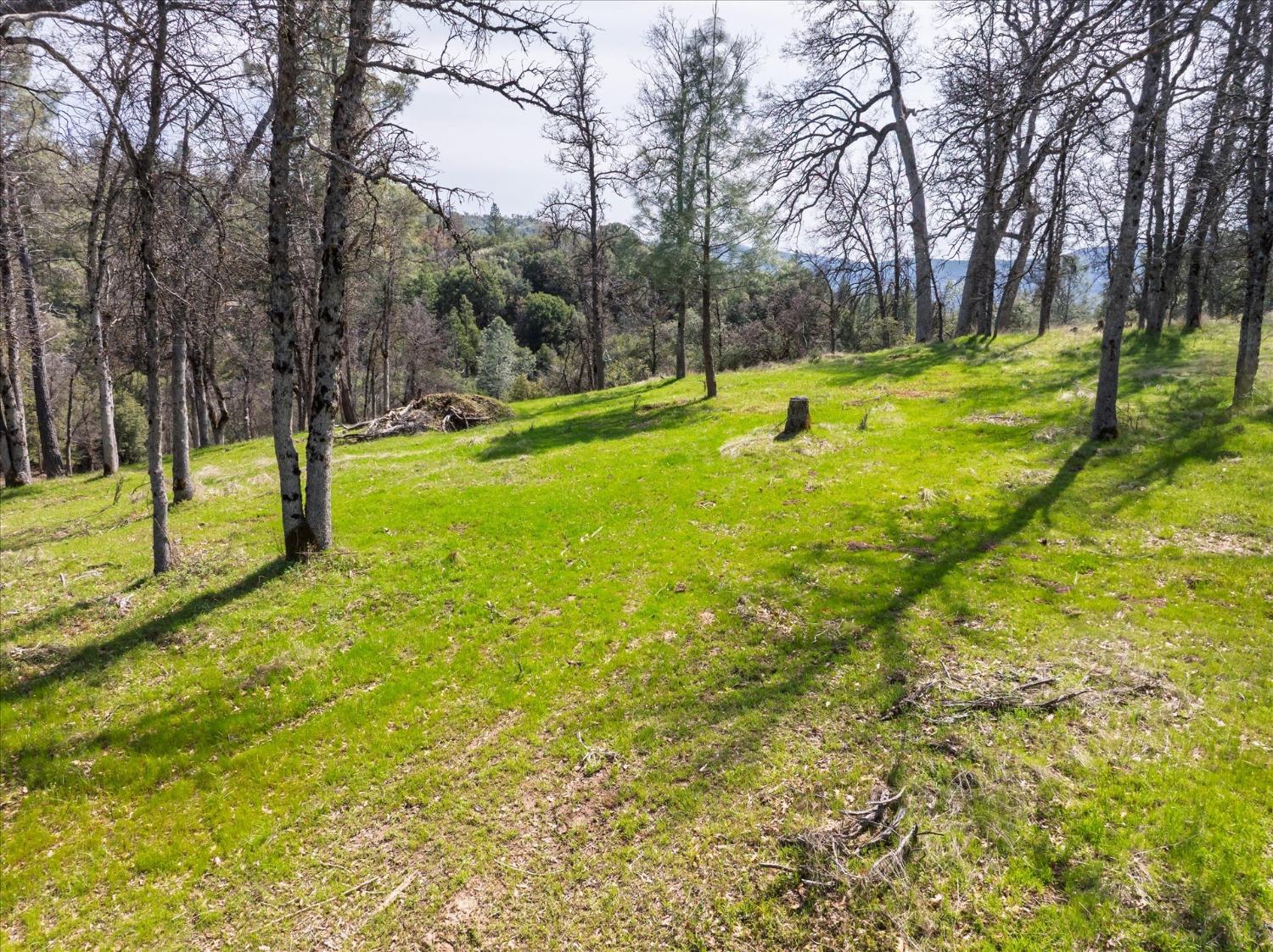 1 Springwood Ct, Oakhurst, CA 93644