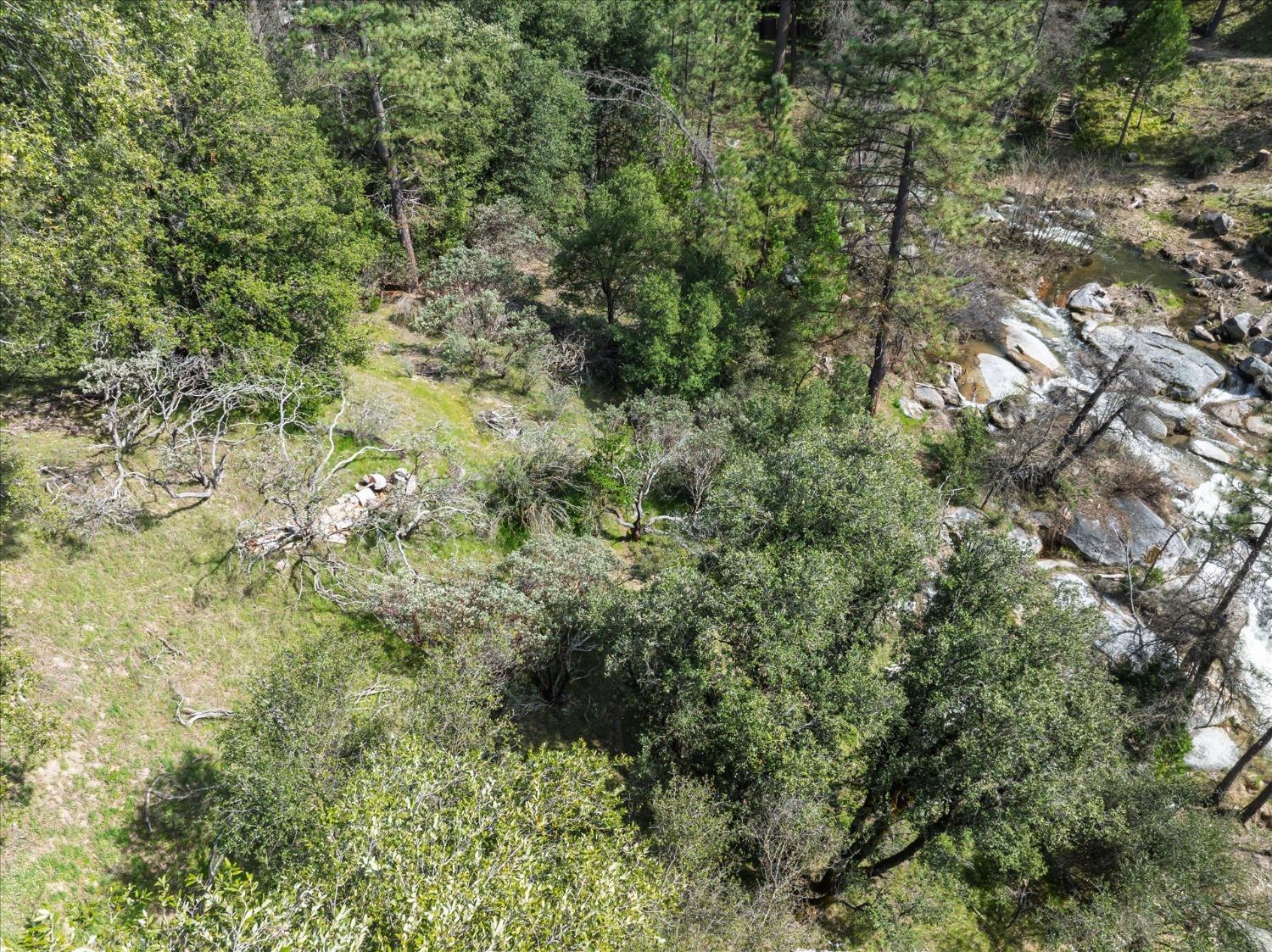 1 Springwood Ct, Oakhurst, CA 93644