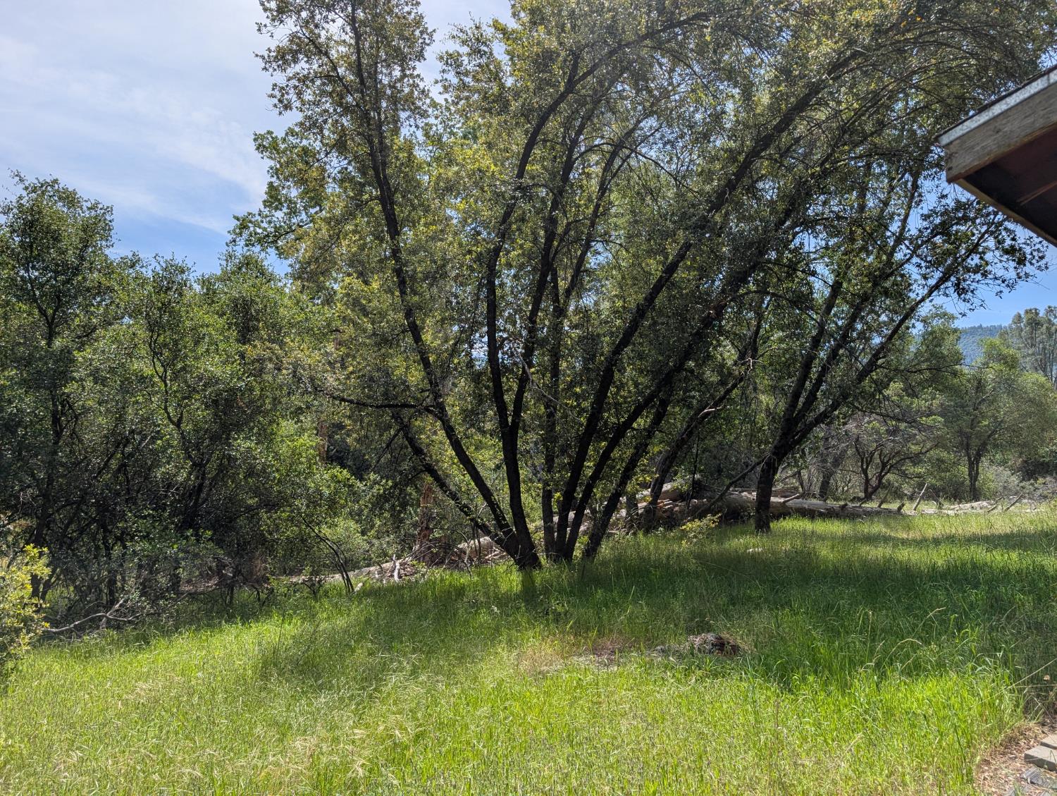 51668 Courtney Ln, Oakhurst, CA 93644