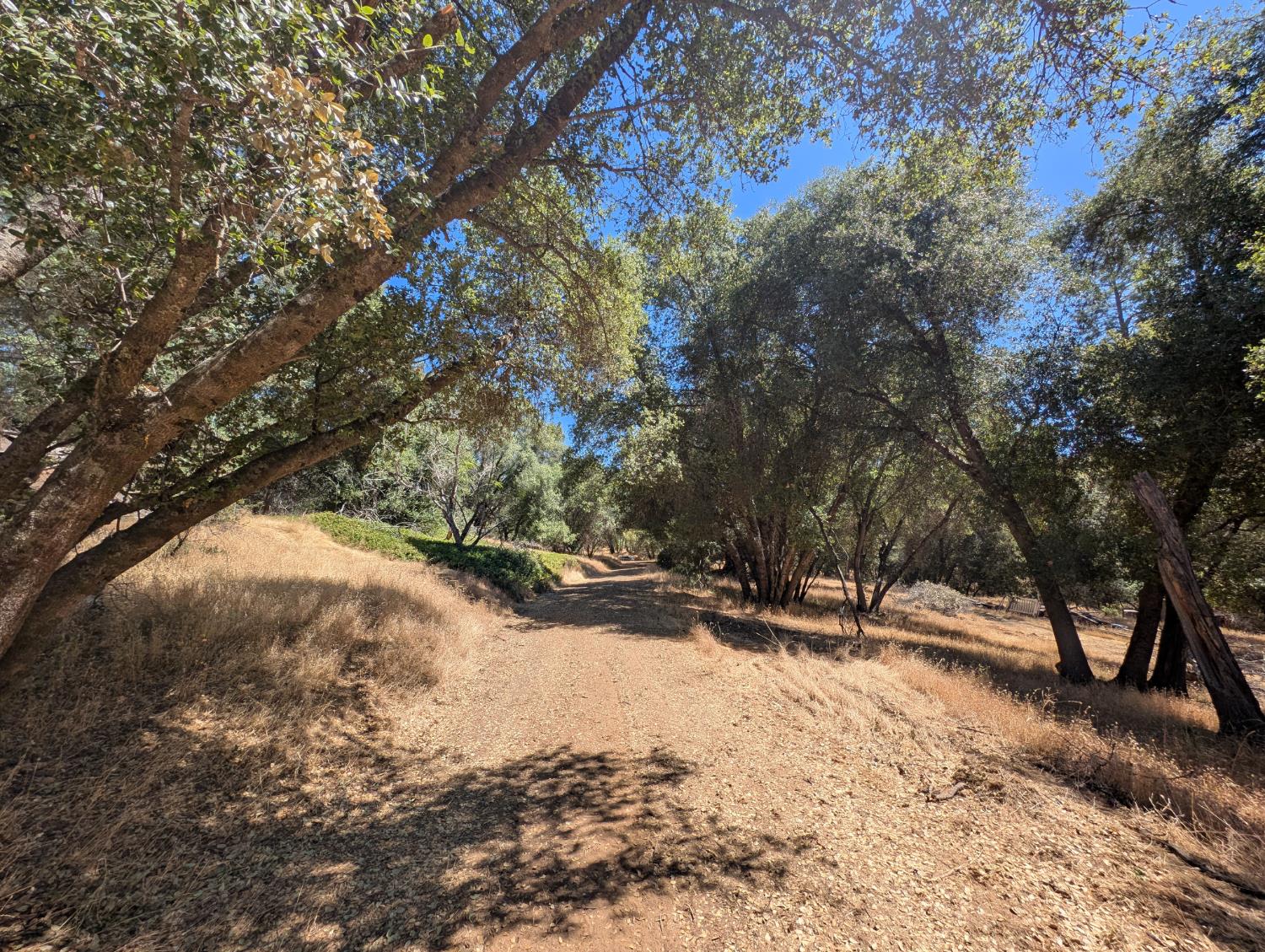 51668 Courtney Ln, Oakhurst, CA 93644