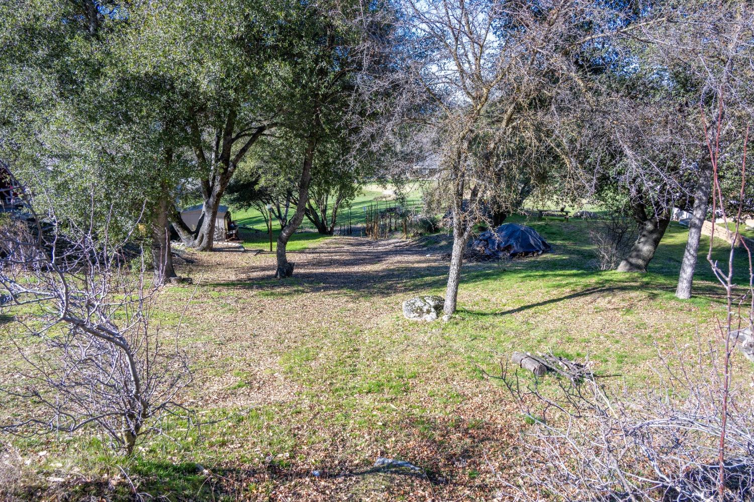 0 0 Goldside Dr, Oakhurst, CA 93644