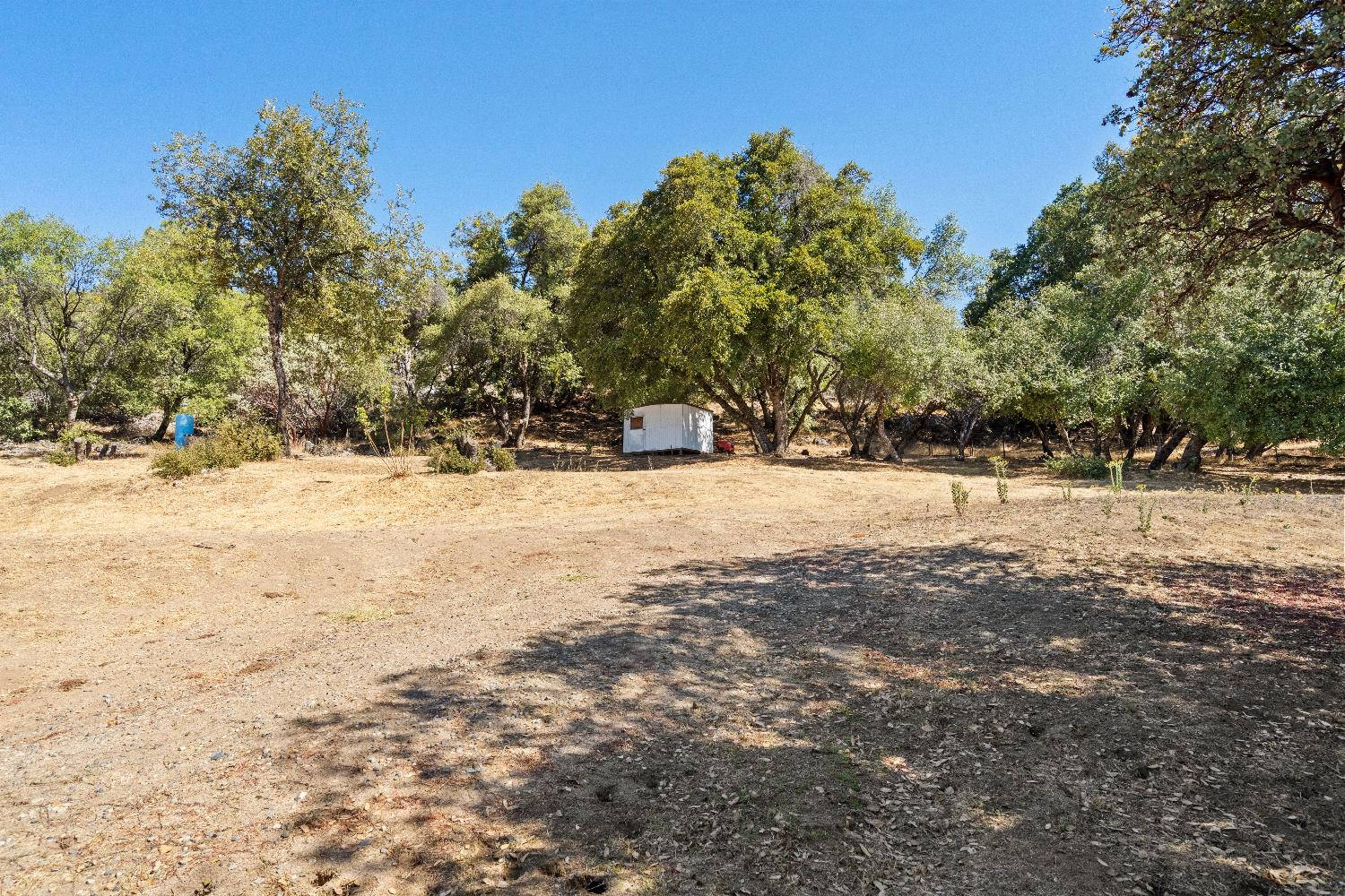 40882 Jean Rd E, Oakhurst, CA 93644