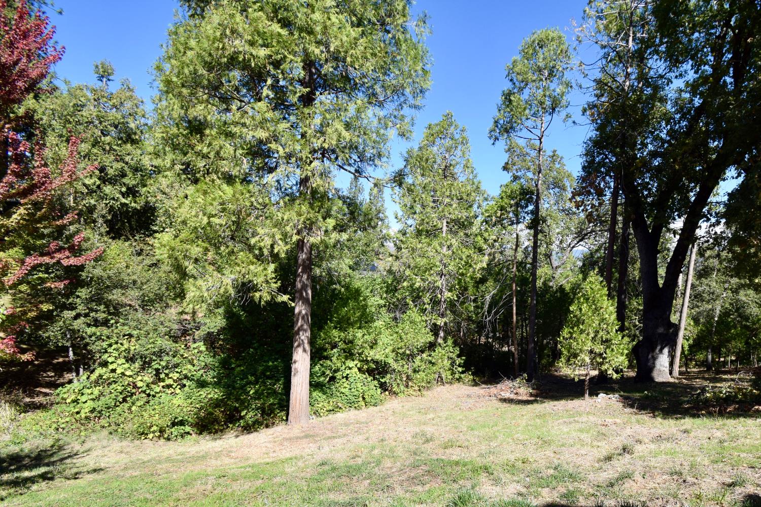 39314 Manzanita Dr, Oakhurst, CA 93644