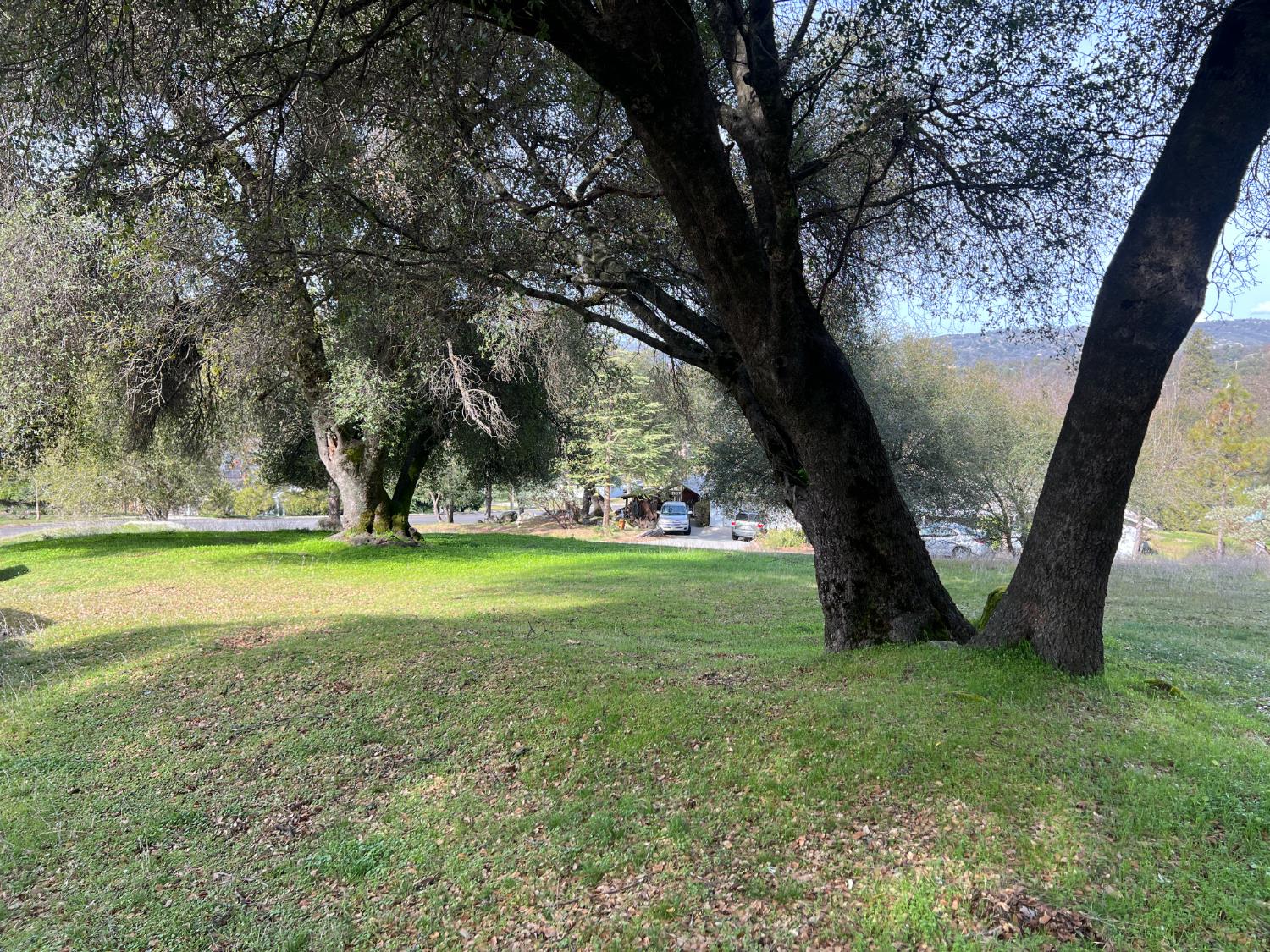 50613 Granite Butte Way, Oakhurst, CA 93644