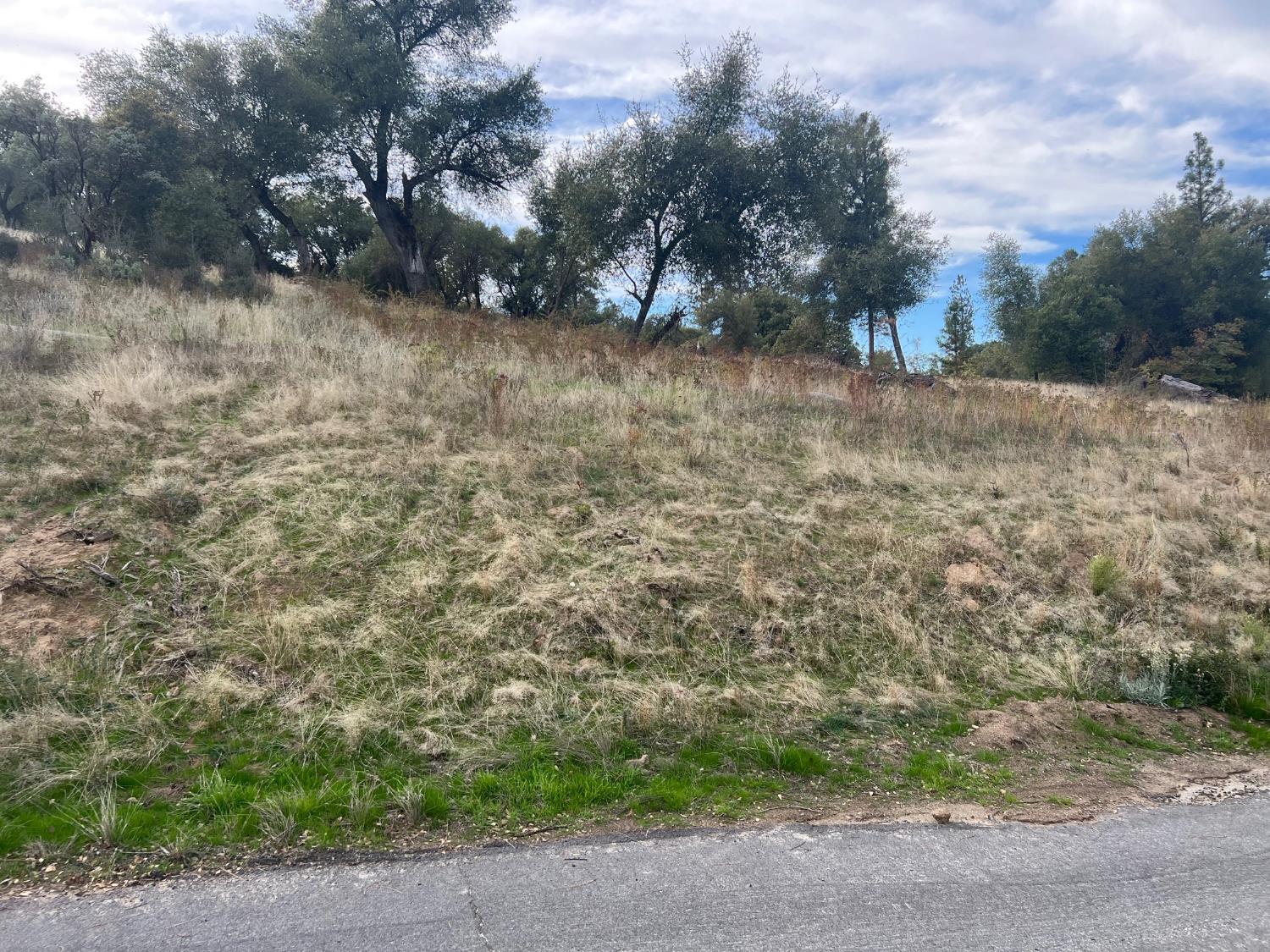 1 Hangtree Ct, Oakhurst, CA 93644