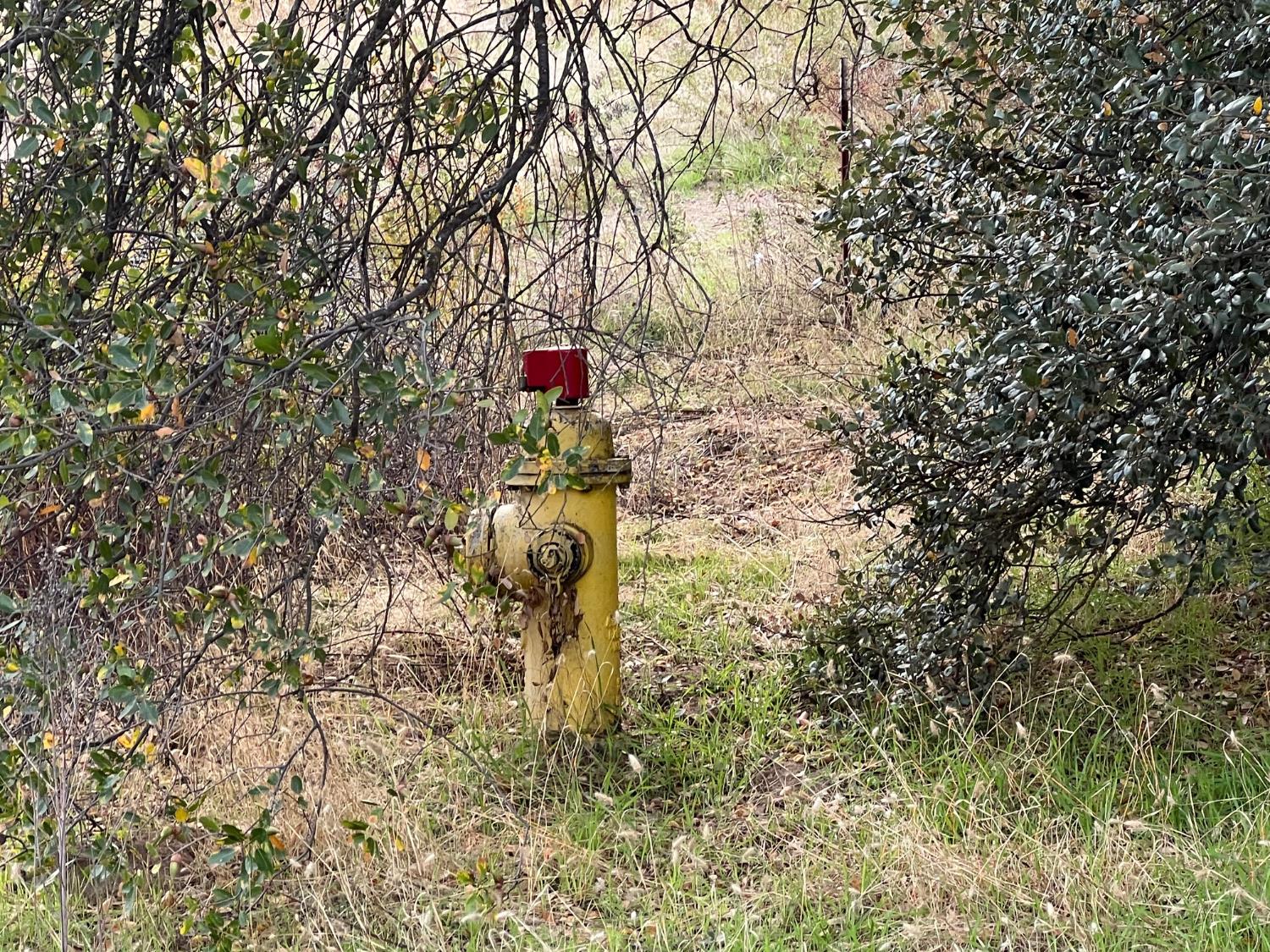 1 Hangtree Ct, Oakhurst, CA 93644