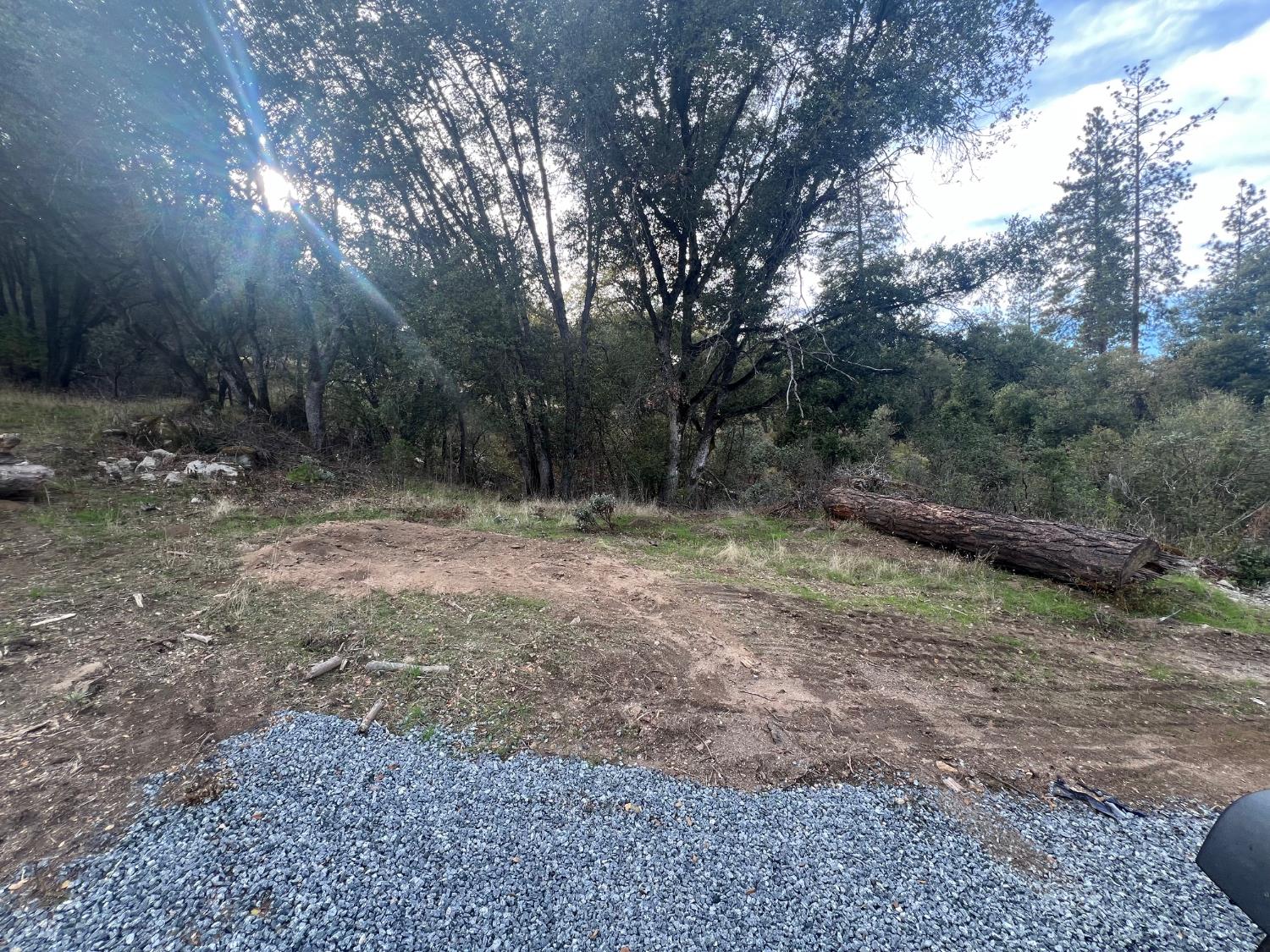 1 Hangtree Ct, Oakhurst, CA 93644