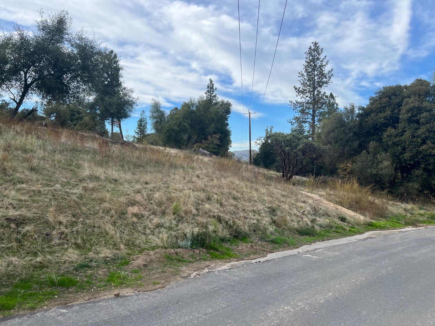 1 Hangtree Ct, Oakhurst, CA 93644