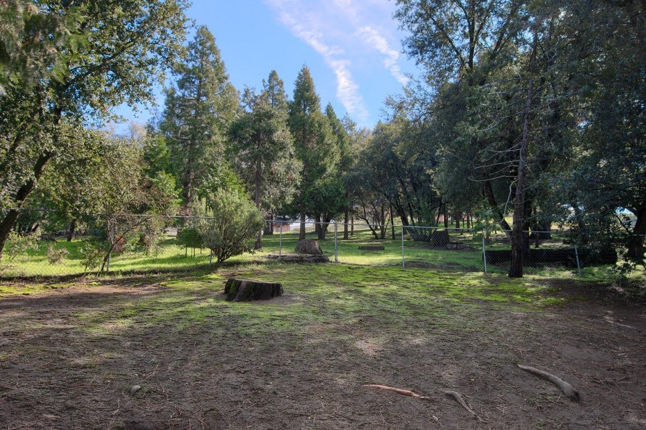 42583 Shady Ln, Oakhurst, CA 93644