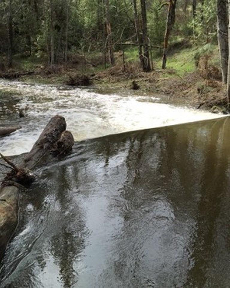 42583 Shady Ln, Oakhurst, CA 93644