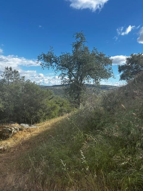 4 03AC Powder Horn Way, Coarsegold, CA 93614