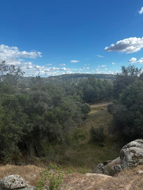 4 03AC Powder Horn Way, Coarsegold, CA 93614