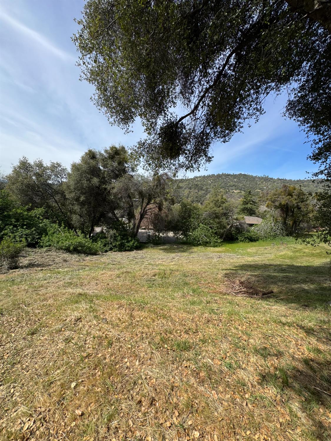 0 0 Shady Ln, Oakhurst, CA 93644