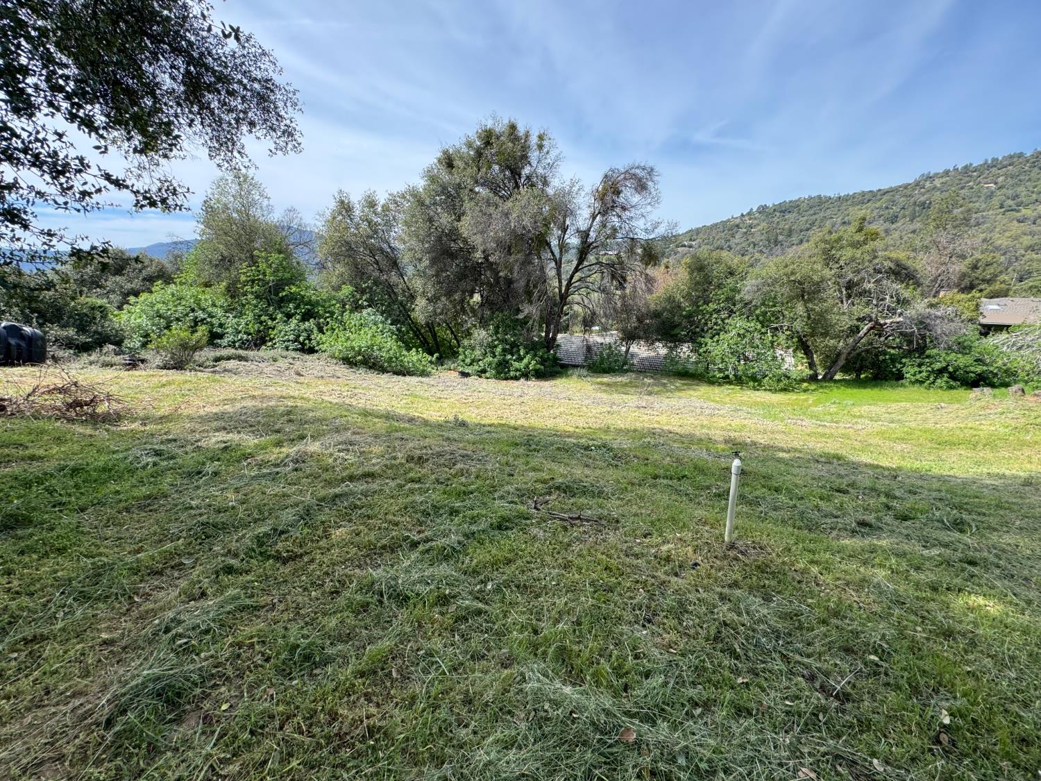 0 0 Shady Ln, Oakhurst, CA 93644