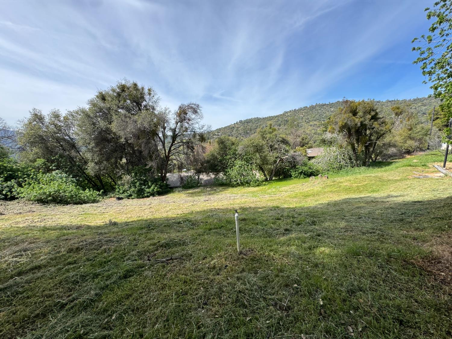 0 0 Shady Ln, Oakhurst, CA 93644