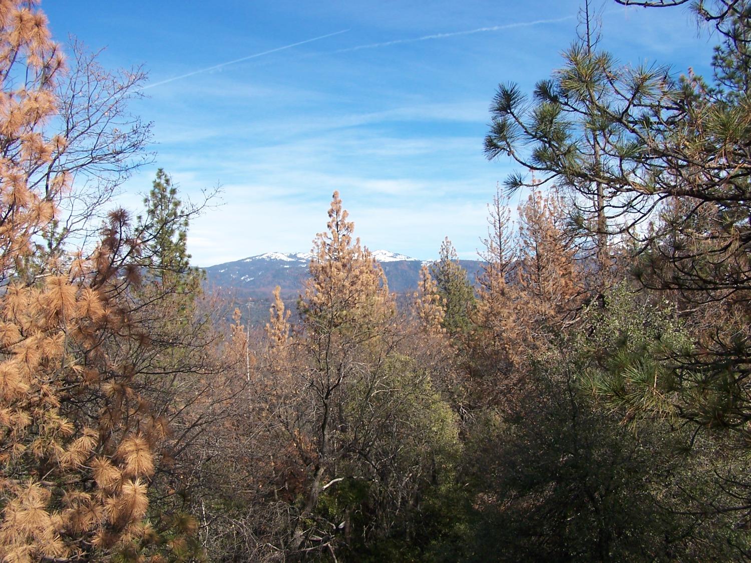 36 Jean Rd West, Oakhurst, CA 93644