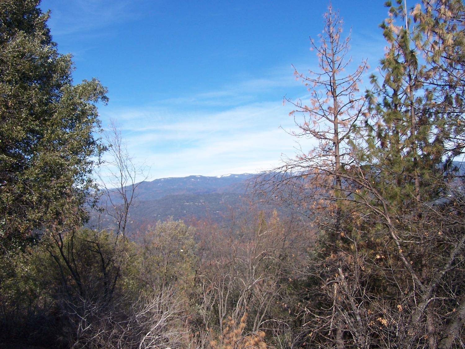 36 Jean Rd West, Oakhurst, CA 93644