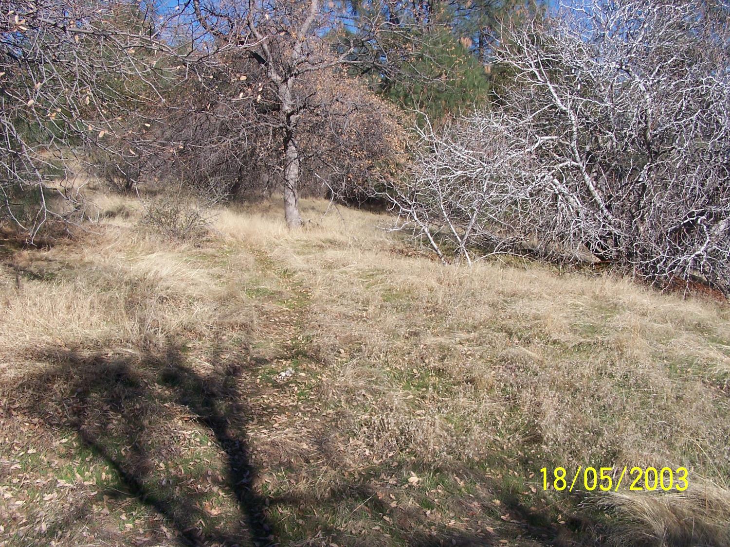 31 Hang Treen Ct, Oakhurst, CA 93644