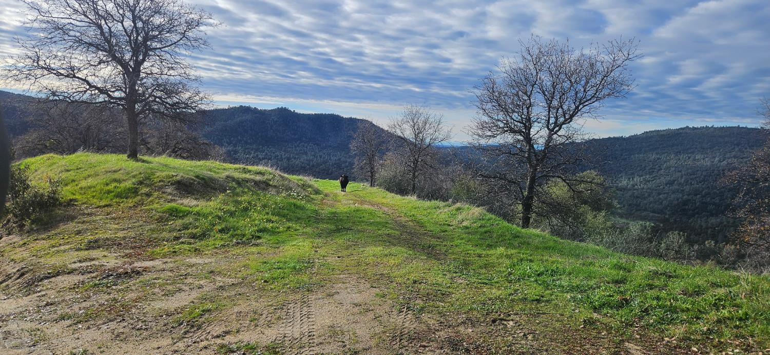 33555 Merrill Ranch Rd, O neals, CA 93645