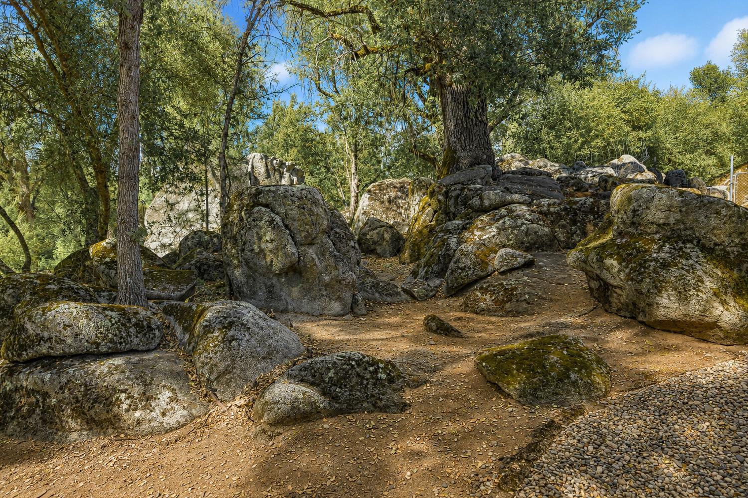 41124 Deer Creek Dr, Oakhurst, CA 93644
