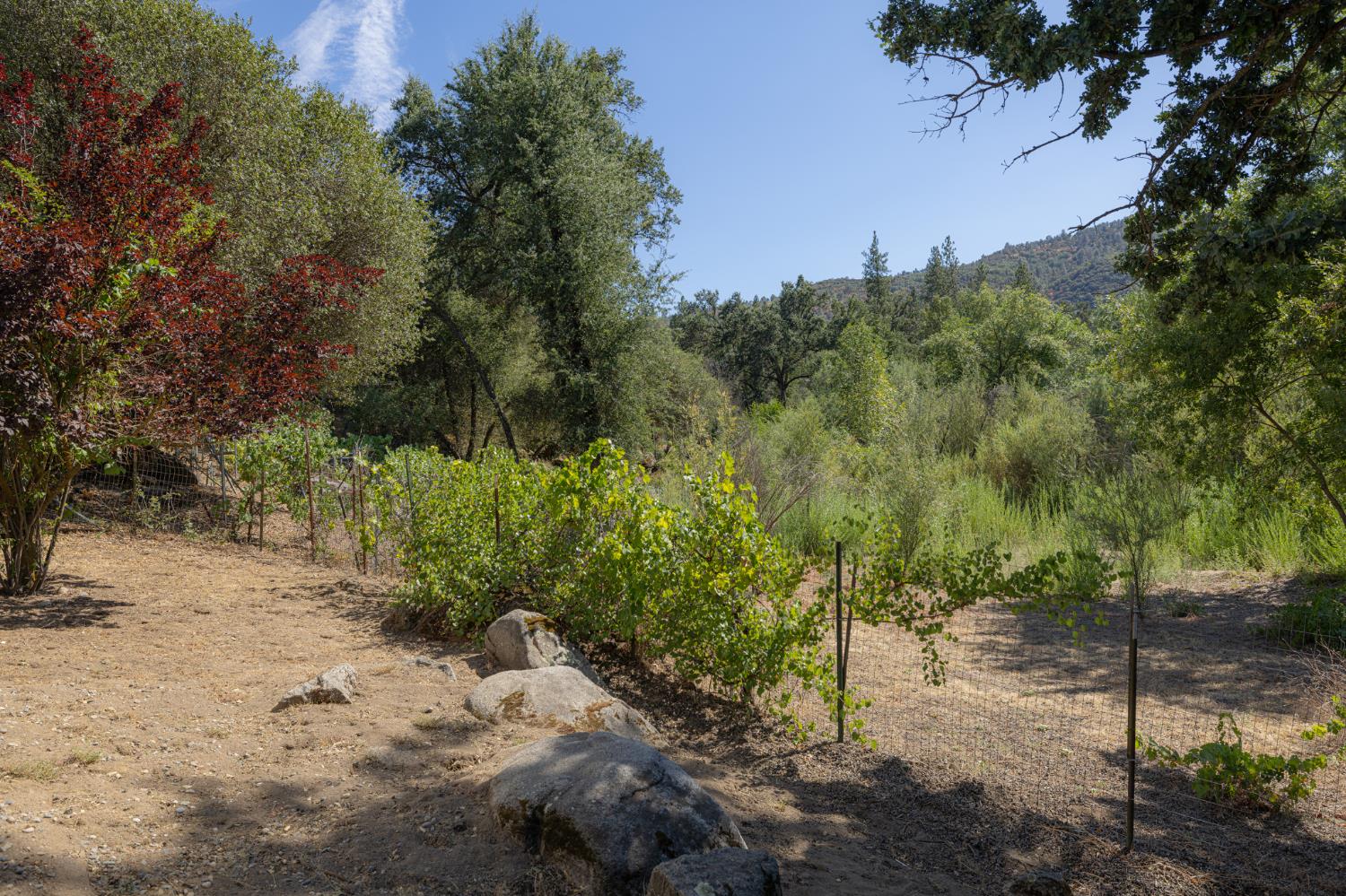 41124 Deer Creek Dr, Oakhurst, CA 93644