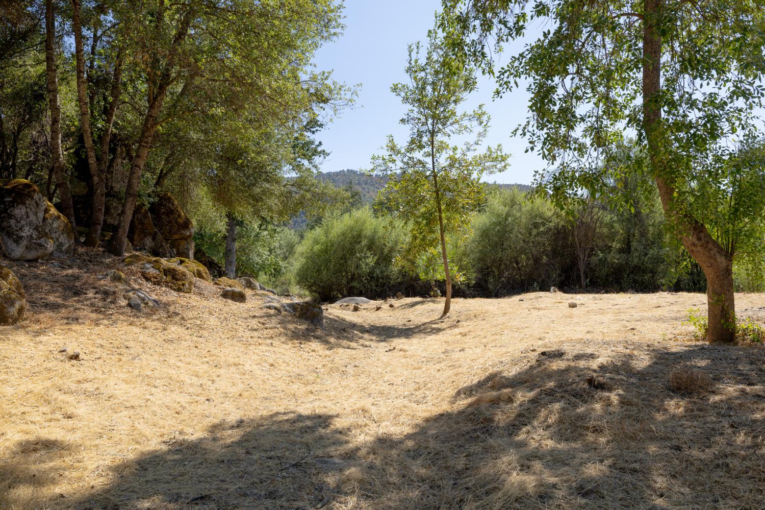 41124 Deer Creek Dr, Oakhurst, CA 93644